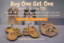 Load image into Gallery viewer, Best friends dog tags buy 1 get 1 deal with two dogs and personalized wooden tags for pets
